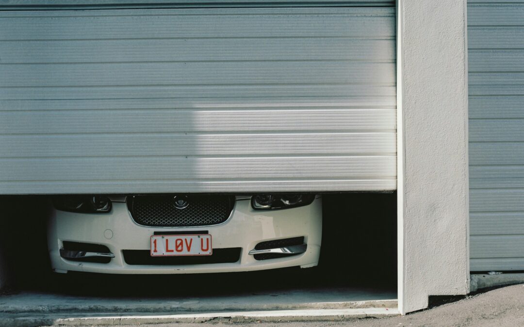 Garage Door Motor